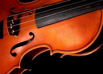 Violin
